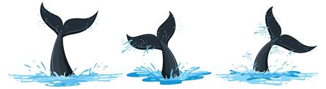 Whale Tail Clipart Transparent PNG Hd Tail Whale Line Icon Vector