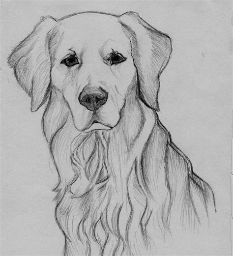 Best 11 – Page 472244710905472422 – SkillOfKing.Com | Animal drawings ...