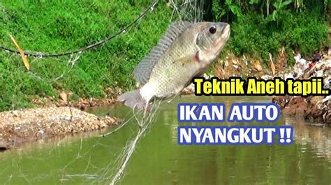 Pancing Jaring Anda Rakit Dengan Kawat Seperti Ini 100 Ikan Nila Auto