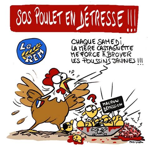 L Oeuf De Yokss Blog Du Dessinateur Grapho Concernant Dessin Poule