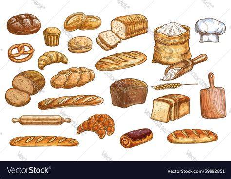 Bread and pastry color isolated sketches Vector Image