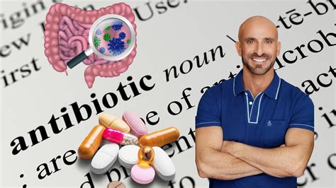 How To Restore Healthy Gut Flora Before After Antibiotics Manuel