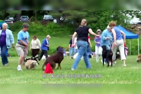 大妈带狗狗去跳广场舞，结果音乐一响，都被狗子的舞技折服舞技音乐结果