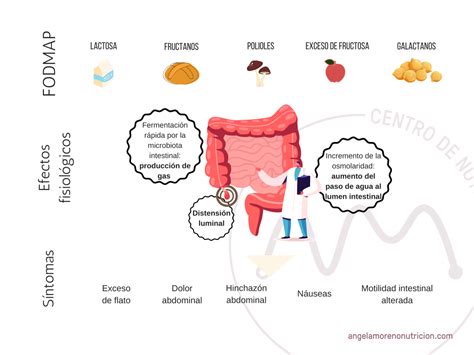 Qué es la dieta baja en FODMAP