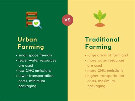 The Ultimate Guide To Urban Farming In Singapore