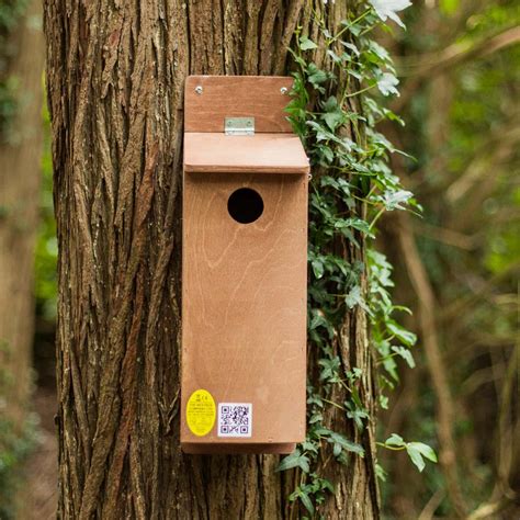 Starling Nest Box The Nestbox Company