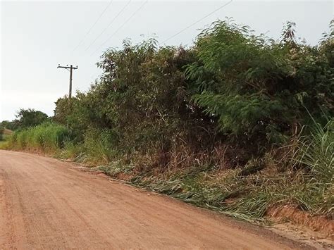 Suspeita Se Que Homem Achado Morto Foi Assassinado E Desovado Agenda Itu