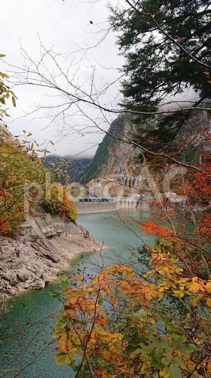 秋に紅葉する山と黒部湖 No 25274076｜写真素材なら「写真ac」無料（フリー）ダウンロードok