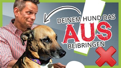 Dem Hund AUS Richtig Beibringen So Gibt Dein Hund Alles Wieder Ab