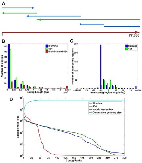 Figure S A Comparison Of The And Illumina Sequencing Results