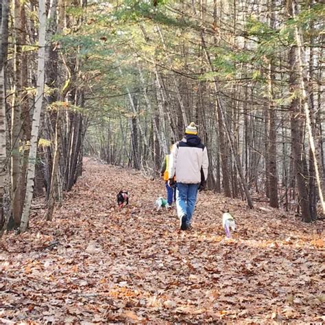 Best Views Trails In Epping Alltrails
