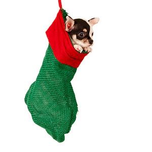 Christmas Dog Stockings