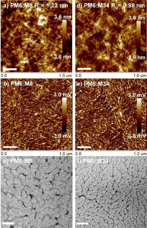 Tapping Mode AFM Height A D And Phase B E Images And TEM C F