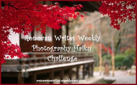 RonovanWrites Weekly #Photography #Haiku Challenge #22 Spin&Wheels ...