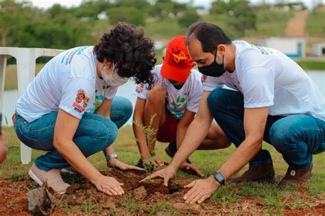 Senador Canedo Promove Plantio De Rvores Nativas Do Cerrado Na