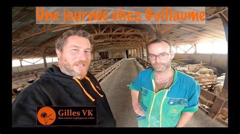 Une Journ E Chez Guillaumeeleveurdebrebis On Visite Son Levage Youtube