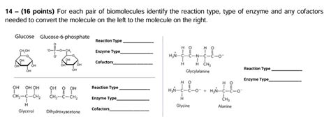 Solved Points For Each Pair Of Biomolecules Chegg