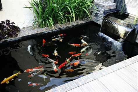 Brilliant Koi Pond Design Ideas For A Breath Taking Makeover Shrubhub