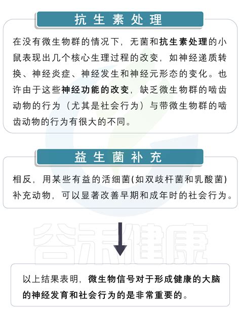 可用于分析微生物与代谢产物之间相互作用的人工神经网络 代谢网络 宿主与病原体的相互作用 Csdn博客