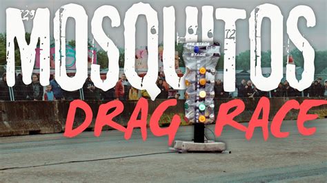 Mosquitos Drag Race Tu Vas En Prendre Plein Les Oreilles Youtube