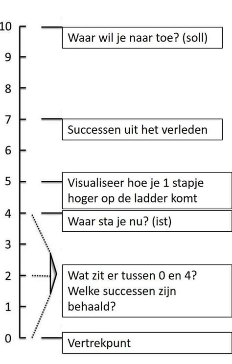 Oplossingsgericht Werken Voor Leiders Een Handleiding Brout