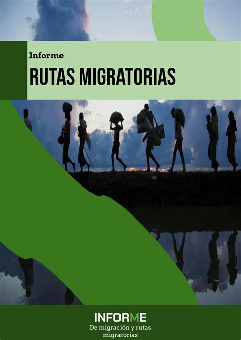 Solution Informe De Rutas Migratorias Studypool