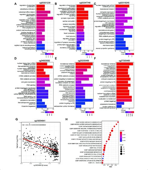 Functional Characterization Of The CpG Signature A F Bar Plot Of