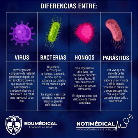 Cuadro Comparativo De Virus Bacteria Parasitos Y Hongos Docsity Porn