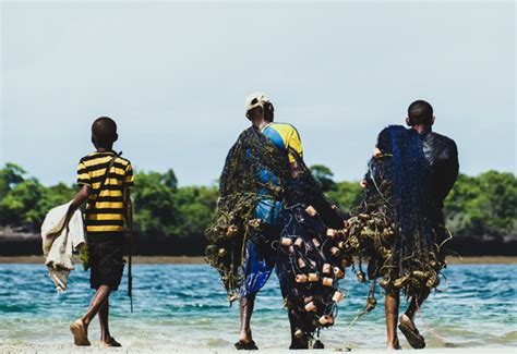 Beyond The Reef Assessing Ecosystem Services Arising From Coral Reef