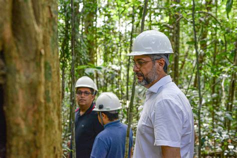 Projeto De Madeira No Amapá Envolve Empresa Multada 09032024