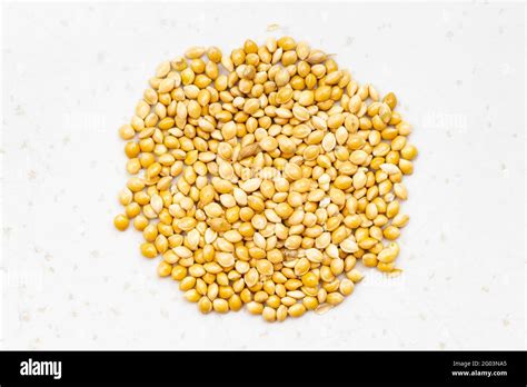 Top View Of Pile Of Unpolished Yellow Proso Millet Close Up On Gray