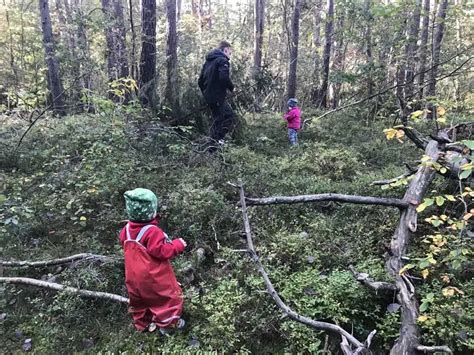 Skolbanken Spr K I Skogen