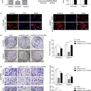 The Expression Pattern Of Efgr And Abhd As In Ovarian Cancer A