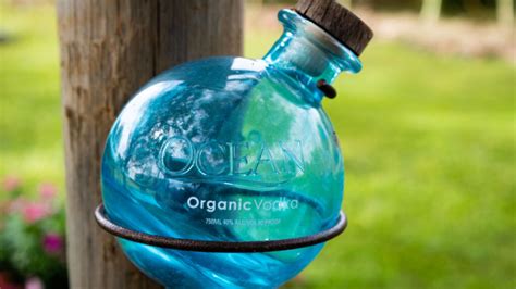 10 Best Organic Vodka Brands to Drink