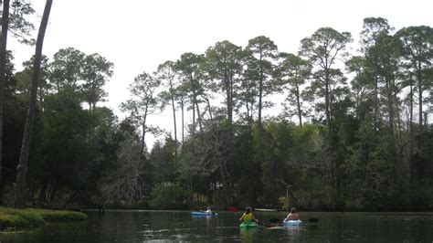 Kayak And Canoe We Put In Magnolia River Foley Al