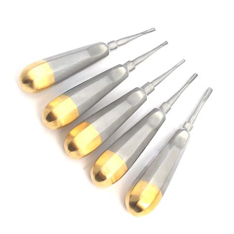 Buy DDP German Grade 5 PC Straight Dental EXTRACTING APICAL Root TIP