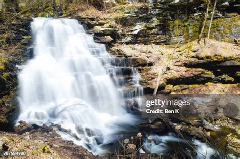 228 Waterfalls In Ricketts Glen State Park Stock Photos, High-Res ...