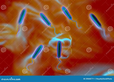 Bact Rias Haste Dadas Forma Grama Negativas Ilustra O Stock