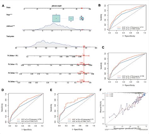 Identification Of Cuproptosis Related Subtypes In Lung Adenocarcinoma