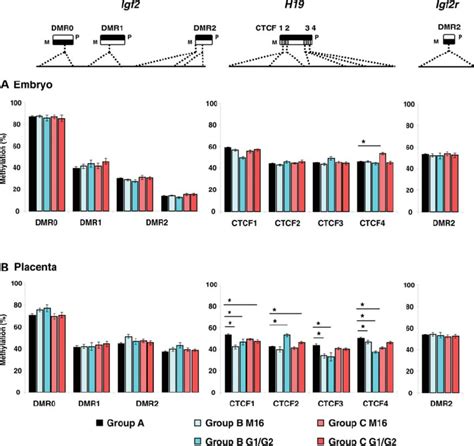 Methylation Levels Of The Four DMRs Within The H19 Igf2 Locus And The