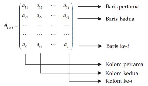 Jenis Matriks Berdasarkan Ordo Dan Elemen Elemen Matriks Horison