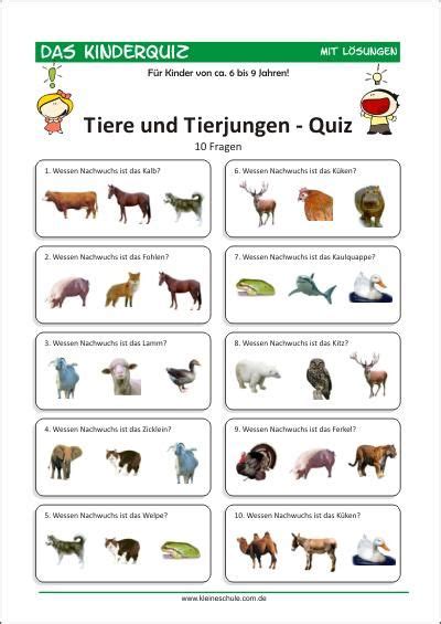 Tiere Und Tierjungen Quiz F R Kinder F R Kinder Von Quiz F R