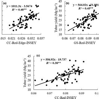 The Relationship Between Potato Yield In The Sites With Organic Matter