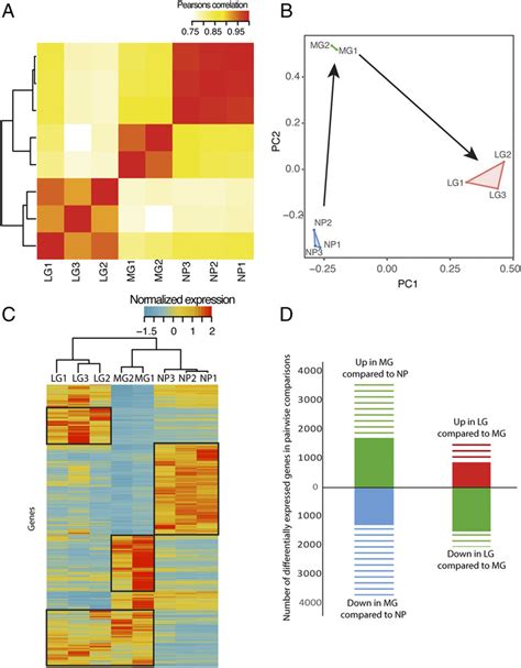 Correlations Of Transcriptome Samples A A Heatmap Showing The