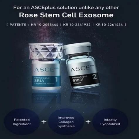 Asce Plus Exosome Dermal Signal Kit Srlv Skin Care Brighten Skin Cell