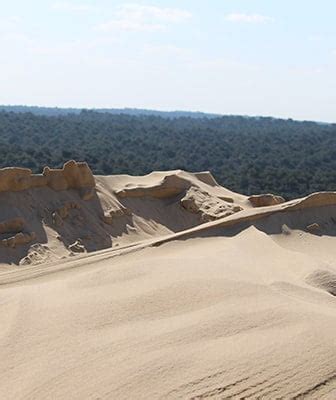 Who Are We The Management Of A Grand Site Dune Du Pilat Nouvelle