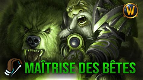 Wow Chasseur Ma Trise Des B Tes Wotlk Classic Guide De Classe De La