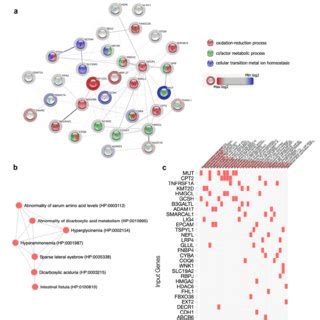 Bioinformatic Enrichment Of Mitochondrial Protein Protein Interaction