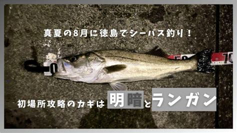 徳島県で40cm超えのカレイが釣れたエサと仕掛け釣り方をご紹介海釣り好きの釣りブログ