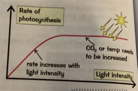 Bioenergetics Flashcards Quizlet